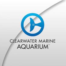 Clearwater Marine Aquarium